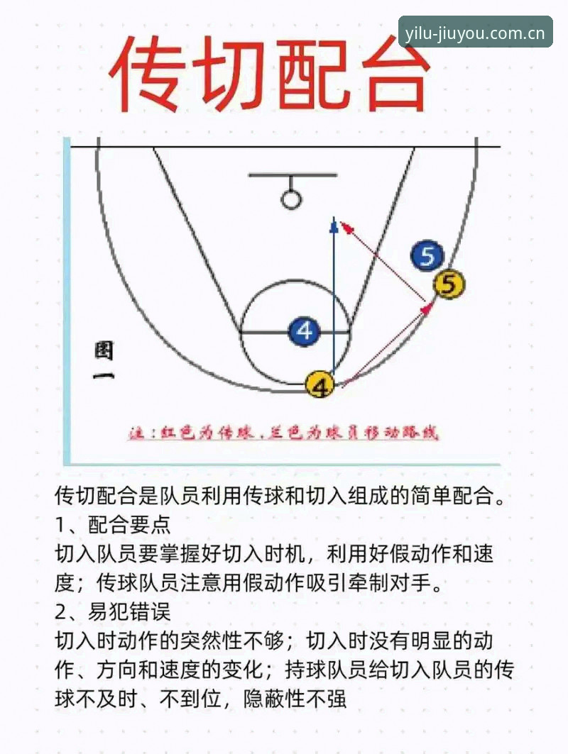 九游官网中国篮球数据 九游官网中国篮球数据使用指南:在信息迷雾中摸清门道